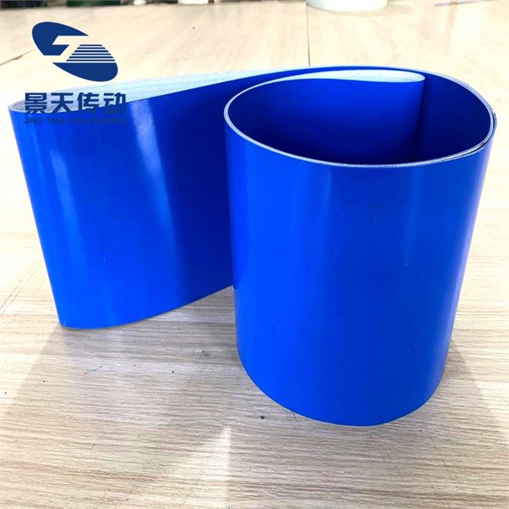 Blue Conveyor Belt